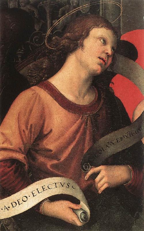 RAFFAELLO Sanzio Angel (fragment of the Baronci Altarpiece) dg oil painting image